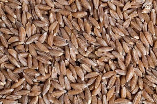Organic grains collection